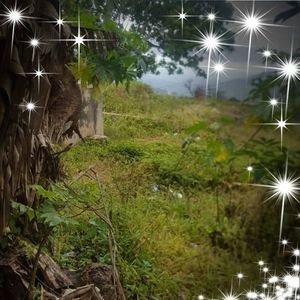 Meet your Posher, Audrey